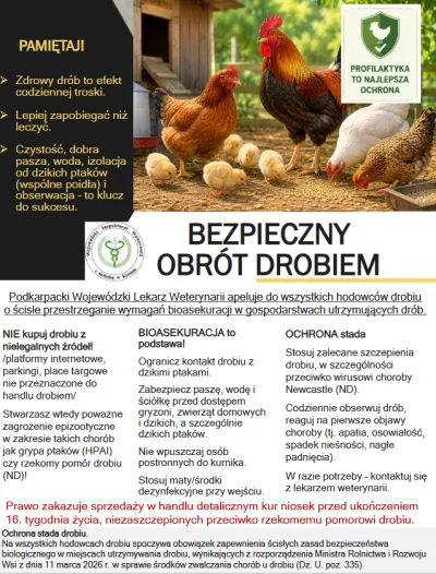  zdjęcie do artykułu Bezpieczny Obrót Drobiem