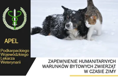  zdjęcie do artykułu Zadbaj o zwierzęta zimą: Apel Podkarpackiego Wojewódzkiego Lekarza Weterynarii