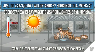 Jak chronić zwierzęta przed wysokimi temperaturami