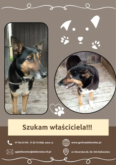 zdjęcie do artykułu: Szukamy właściciela !!! - Aktualizacja właściciel odnaleziony