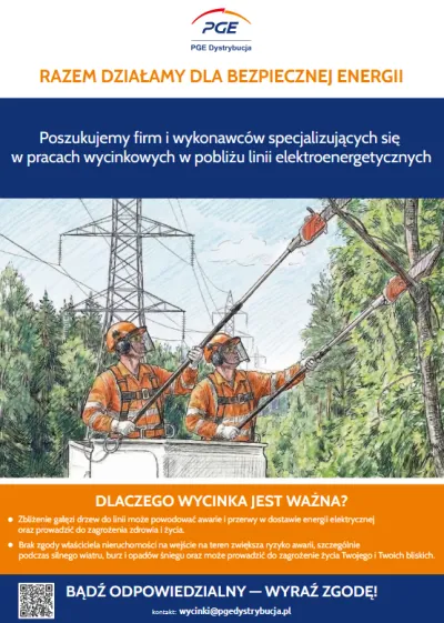  zdjęcie do artykułu PGE - Przetarg na prace utrzymaniowe (wycinki)