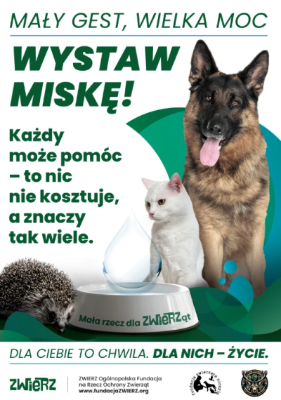  zdjęcie do artykułu Latem, gdy upał nie odpuszcza, zwierzęta szczególnie potrzebują wody.