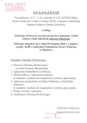 zdjęcie do
														 artykułu: Zebranie Wyborcze Sołectwa Płazówka