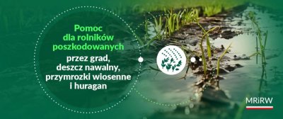 zdjęcie do
														 artykułu: Pomoc dla rolników poszkodowanych przez grad, deszcz nawalny, przymrozki wiosenne i huragan