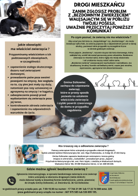 zdjęcie do
														 artykułu: Problem bezdomnych zwierząt ? co każdy z nas może zrobić?