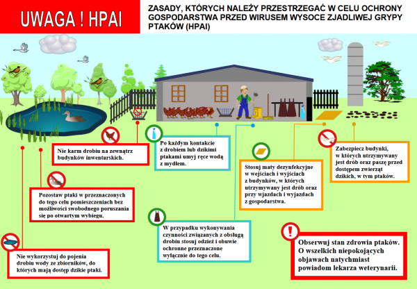zdjęcie do
														 artykułu: Wytyczne dotyczące ochrony drobiu przed grypą ptaków w okresie migracji dzikich ptaków