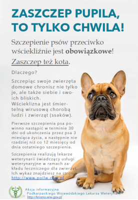 zdjęcie do
														 artykułu: Szczepienia psów przeciwko wściekliźnie i zagrożenie chorobą niebieskiego języka dla hodowców bydła - ważne informacje dla właścicieli zwierząt
