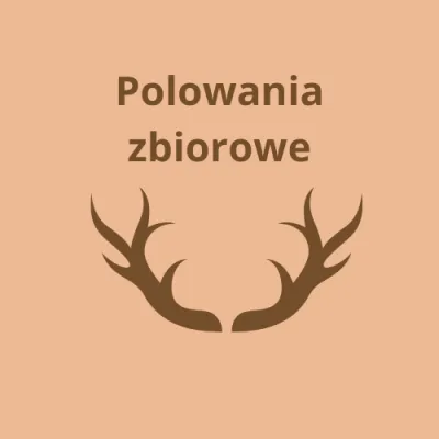 zdjęcie do artykułu: Plan Polowań Zbiorowych Koła Łowieckiego Knieja w Majdanie Królewskim na Sezon Łowiecki 2025/26